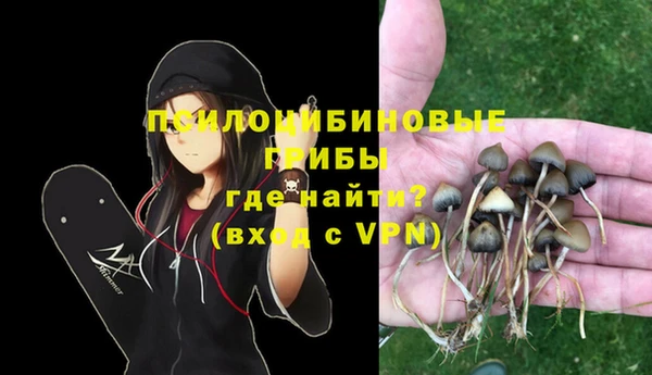 гашиш Туринск