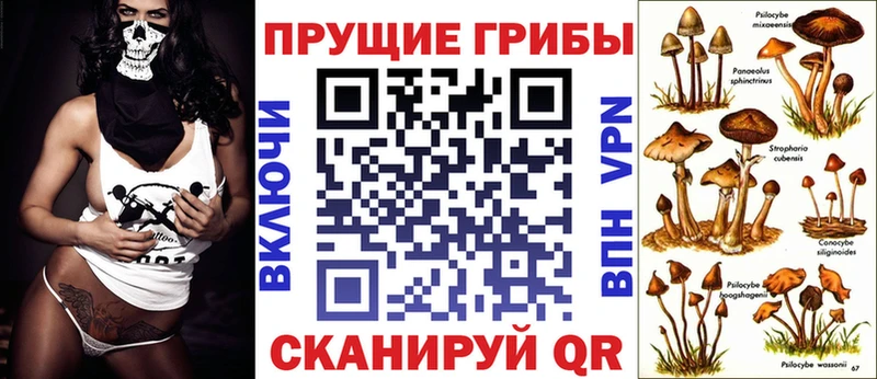 MEGA tor  Калининград  Галлюциногенные грибы GOLDEN TEACHER 