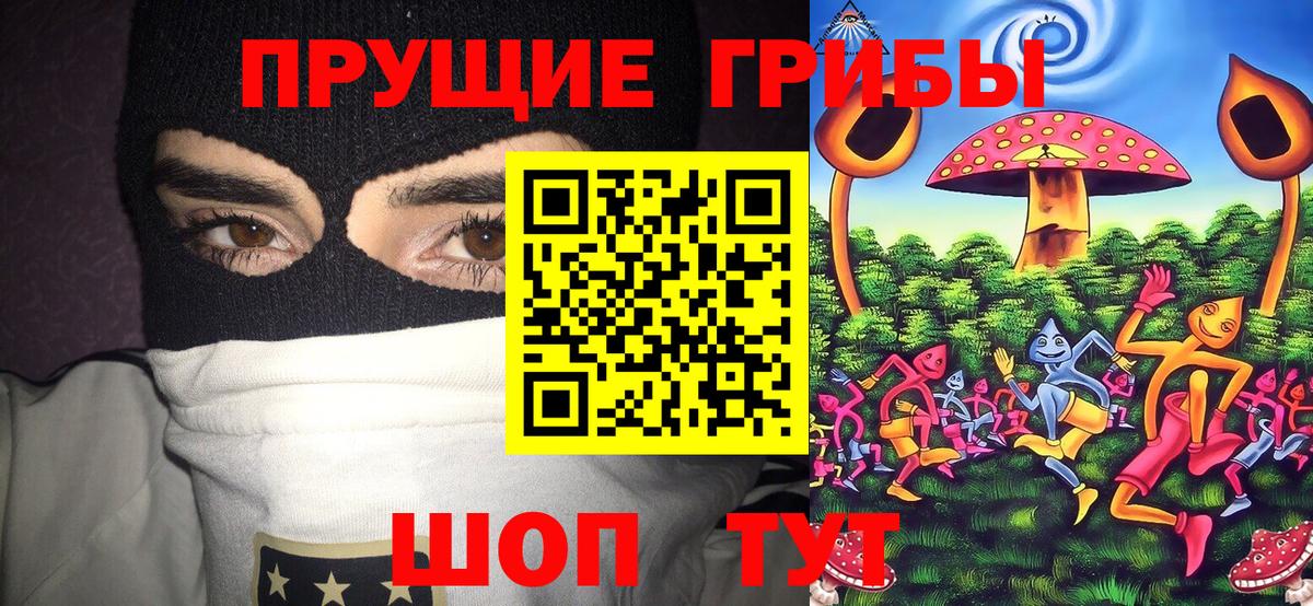 Псилоцибиновые грибы GOLDEN TEACHER  Калининград  закладки  Псилоцибиновые грибы ЛСД 