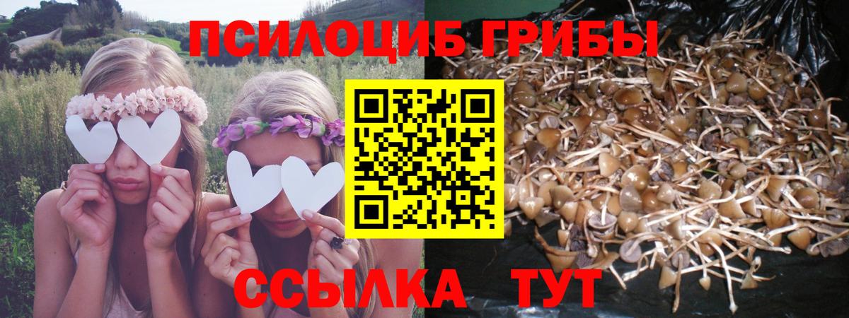 Галлюциногенные грибы GOLDEN TEACHER Калининград