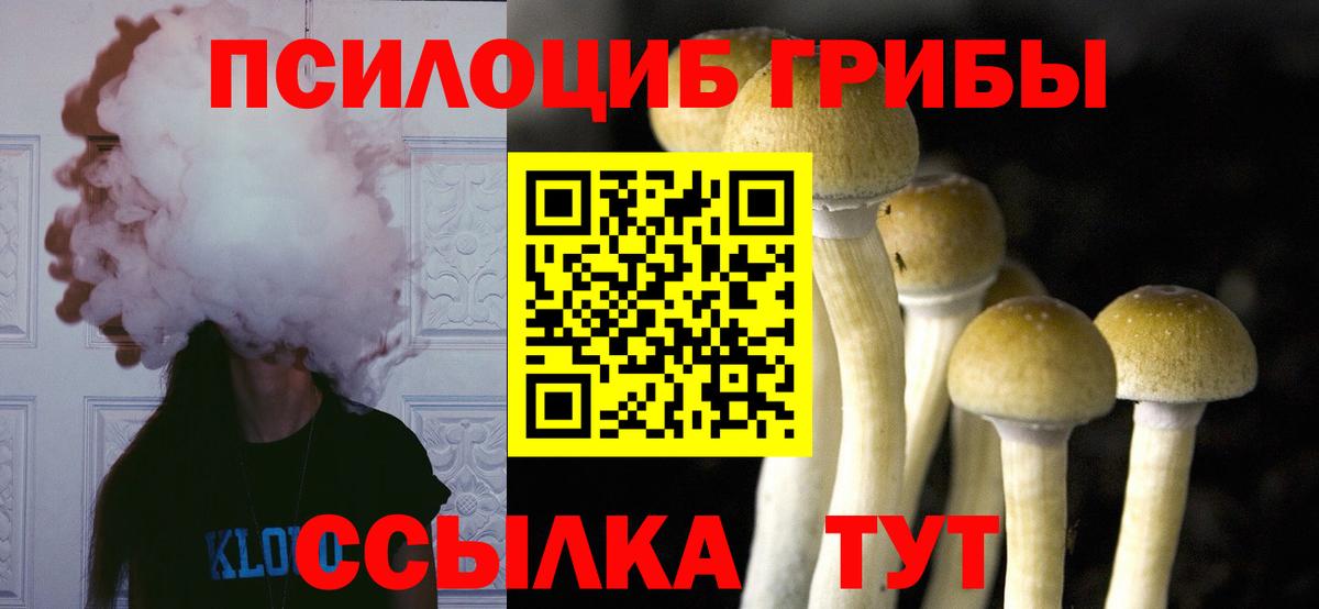 Галлюциногенные грибы Cubensis  Вход с VPN  Калининград  Галлюциногенные грибы мицелий 